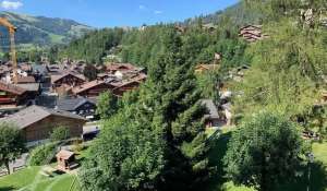 Rental Apartment Gstaad