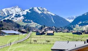 Rental Apartment Gstaad