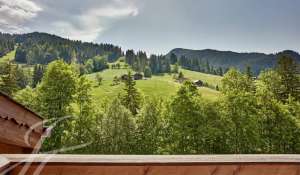 Rental Apartment Gstaad