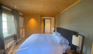 Rental Apartment Gstaad