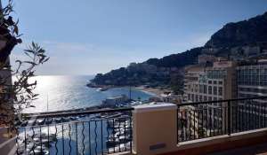 Rental Apartment Monaco