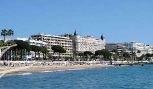 Rental Business Cannes