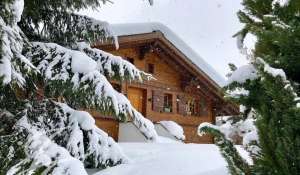 Rental Chalet Saanen