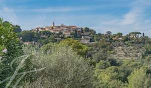 Rental Premises Mougins