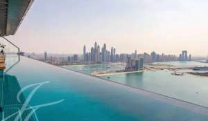 Rental Studio Palm Jumeirah