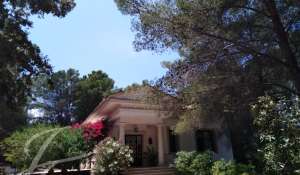 Rental Villa Palma de Mallorca