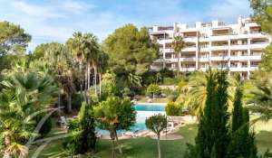 Sale Apartment Cala Llenya