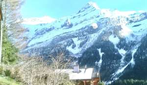 Sale Apartment Les Diablerets