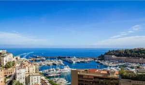 Sale Apartment Monaco