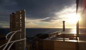 Sale Apartment Monaco