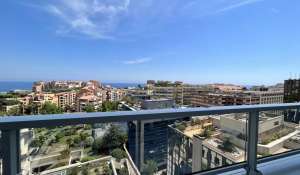 Sale Apartment Monaco