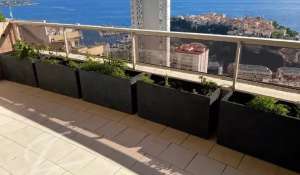 Sale Apartment Monaco