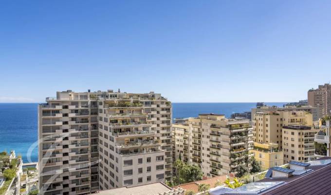 Sale Apartment Monaco