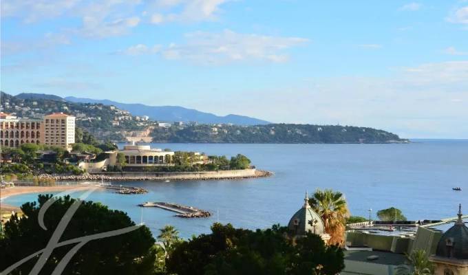 Sale Apartment Monaco