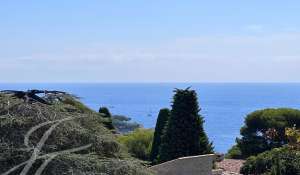 Sale Apartment Saint-Jean-Cap-Ferrat