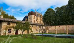 Sale Castle Fareins