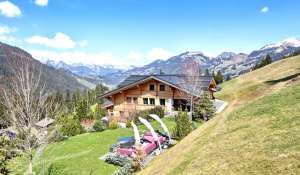 Sale Chalet Saanen