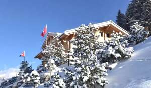 Sale Chalet Saanen