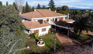 Sale House Monteprincipe