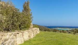 Sale Property Bonifacio