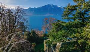 Sale Property Montreux