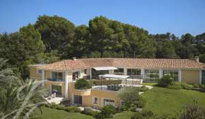 Sale Property Mougins