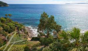 Sale Property Rayol-Canadel-sur-Mer