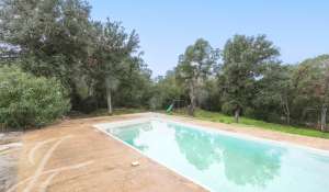 Sale Villa Porto-Vecchio