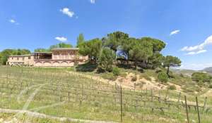 Sale Vineyard property Cuenca