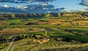 Sale Vineyard property Cuenca