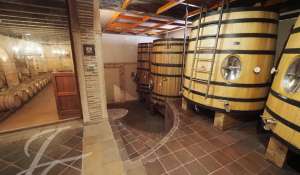 Sale Vineyard property Cuenca