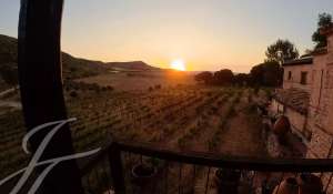 Sale Vineyard property Cuenca