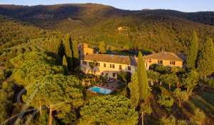 Sale Vineyard property Greve in Chianti