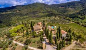 Sale Vineyard property Greve in Chianti