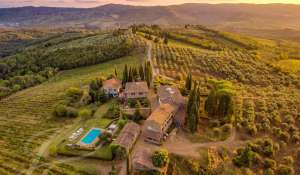 Sale Vineyard property Greve in Chianti