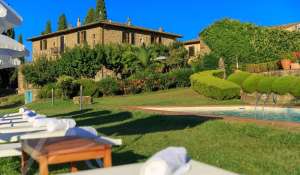 Sale Vineyard property Greve in Chianti