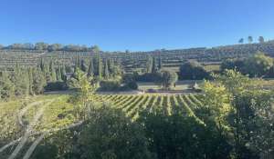 Sale Vineyard property Le Thoronet