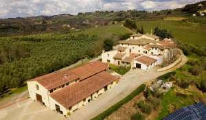 Sale Vineyard property Siena