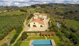 Sale Vineyard property Siena