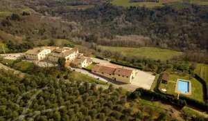 Sale Vineyard property Siena