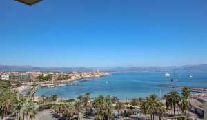 Seasonal rental Apartment Antibes