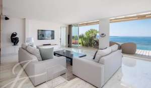 Seasonal rental Apartment Cannes