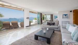 Seasonal rental Apartment Cannes