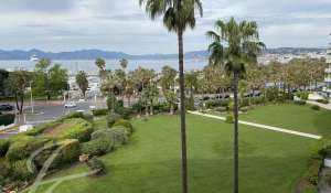 Seasonal rental Apartment Cannes