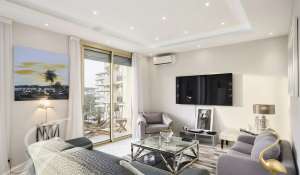 Seasonal rental Apartment Cannes