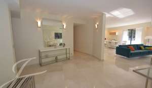 Seasonal rental Apartment Cannes