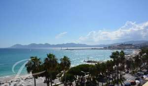 Seasonal rental Apartment Cannes