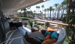 Seasonal rental Apartment Cannes