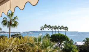 Seasonal rental Apartment Cannes