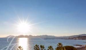 Seasonal rental Apartment Cannes